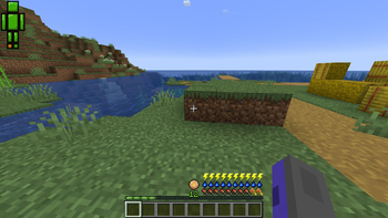 The hud of the player