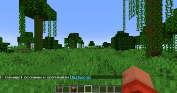 Example of a message confirming that a screenshot has been saved