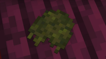 Handful of moss