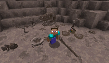 Fossils