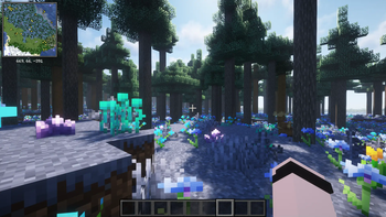 New Biomes + Animals