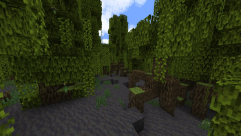 Mangrove swamp (vanilla)