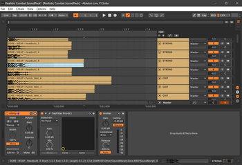 How it looks inside the Digital Audio Workstation