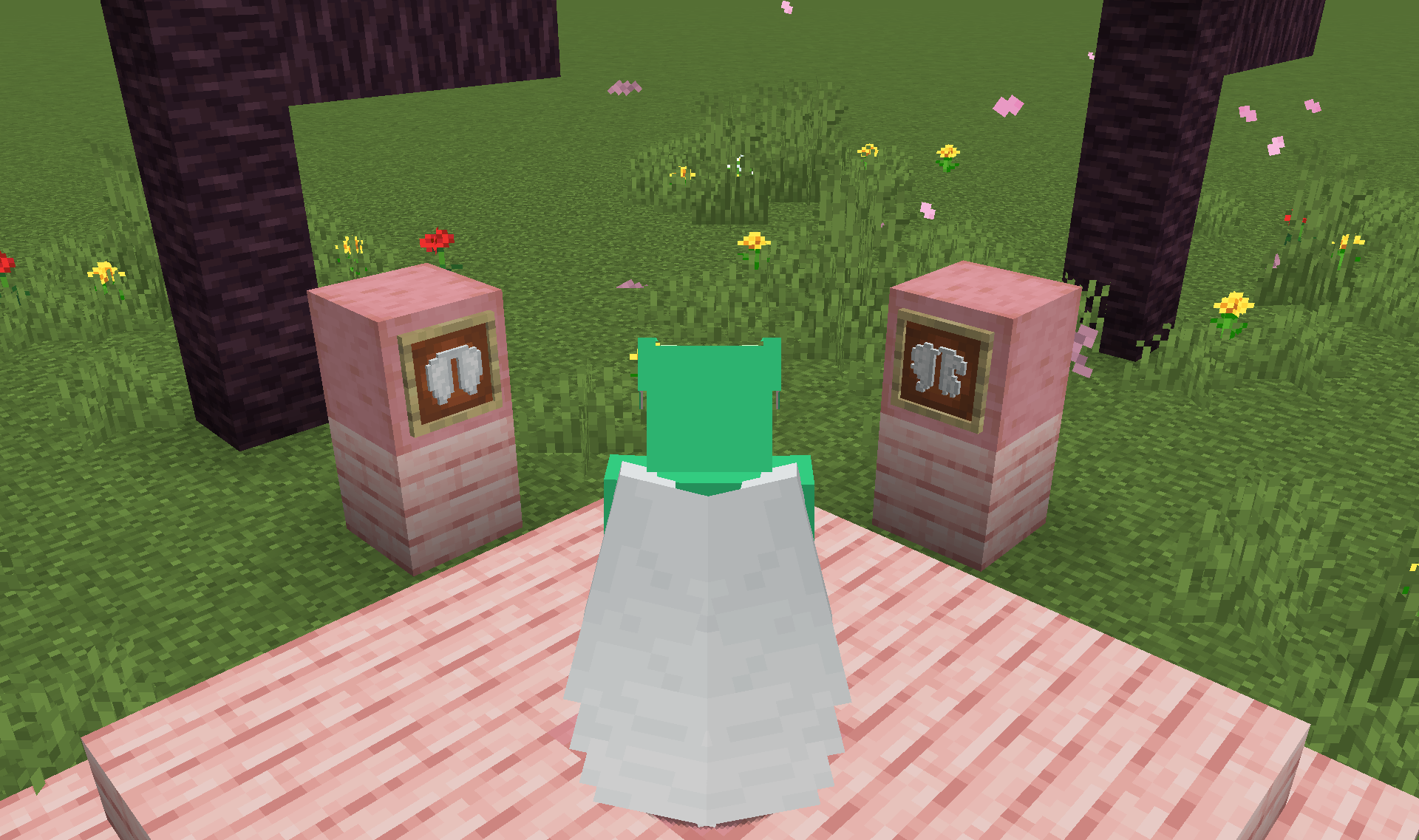 Screenshot demonstrating Resource Pack