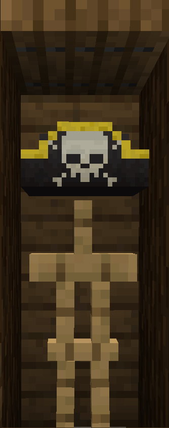 pirate hat