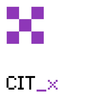 CITX (CIT Extension)