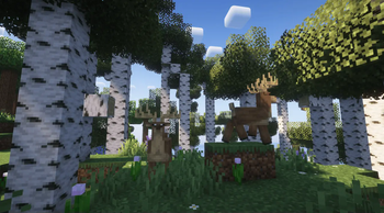 Animals