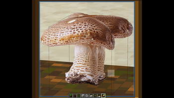 brown mushroom
