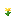old yellow flower