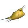 LemonPop