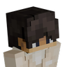 LiamXSage