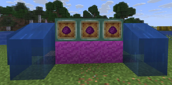 showcase