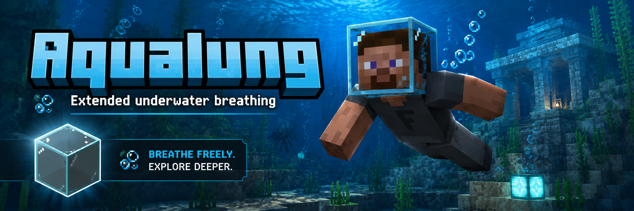 Aqualung banner