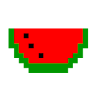 turtle0517
