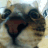 Modrinth profile picture for @Antonio