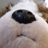 DJpuppy1120
