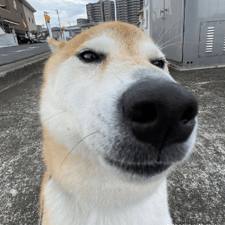 steepboy