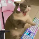 samlikesham_