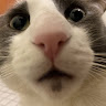 kintux