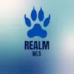 Modrinth profile picture for @realm_wls