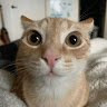 SnukkA