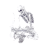 Adoxi