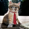 JustTheCatBY