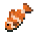 cswimr