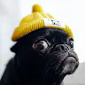 HenkieFrenkie