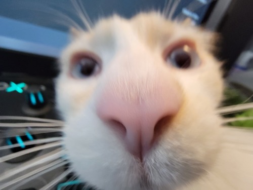 Modrinth profile picture for @stranger