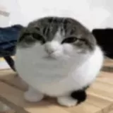 neropilled