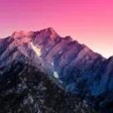 purplepiin