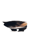Modrinth profile picture for @meow