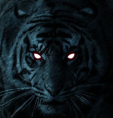 BlackTiger