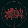 lycorismc