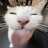 lolposche