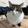 kltzqu