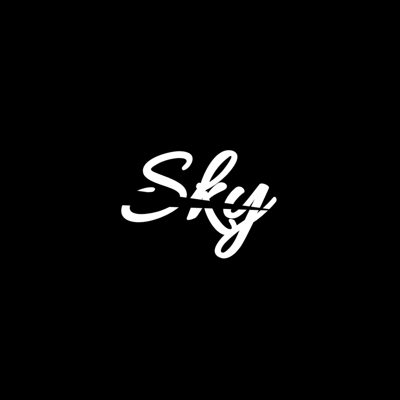 SkyX