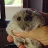 0_v2