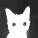 kerbingle