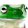 DuckDuckDraw