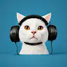 Mystery_cattics