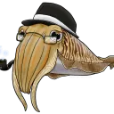 mrcuttlefish_exe
