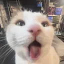 sillyygoober