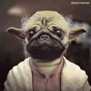 lui_25