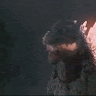 1hippo_