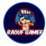 Modrinth profile picture for @RAOUF