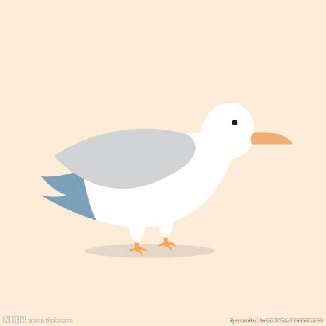 cooobird