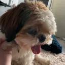 amiliie