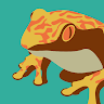 Rainfrog